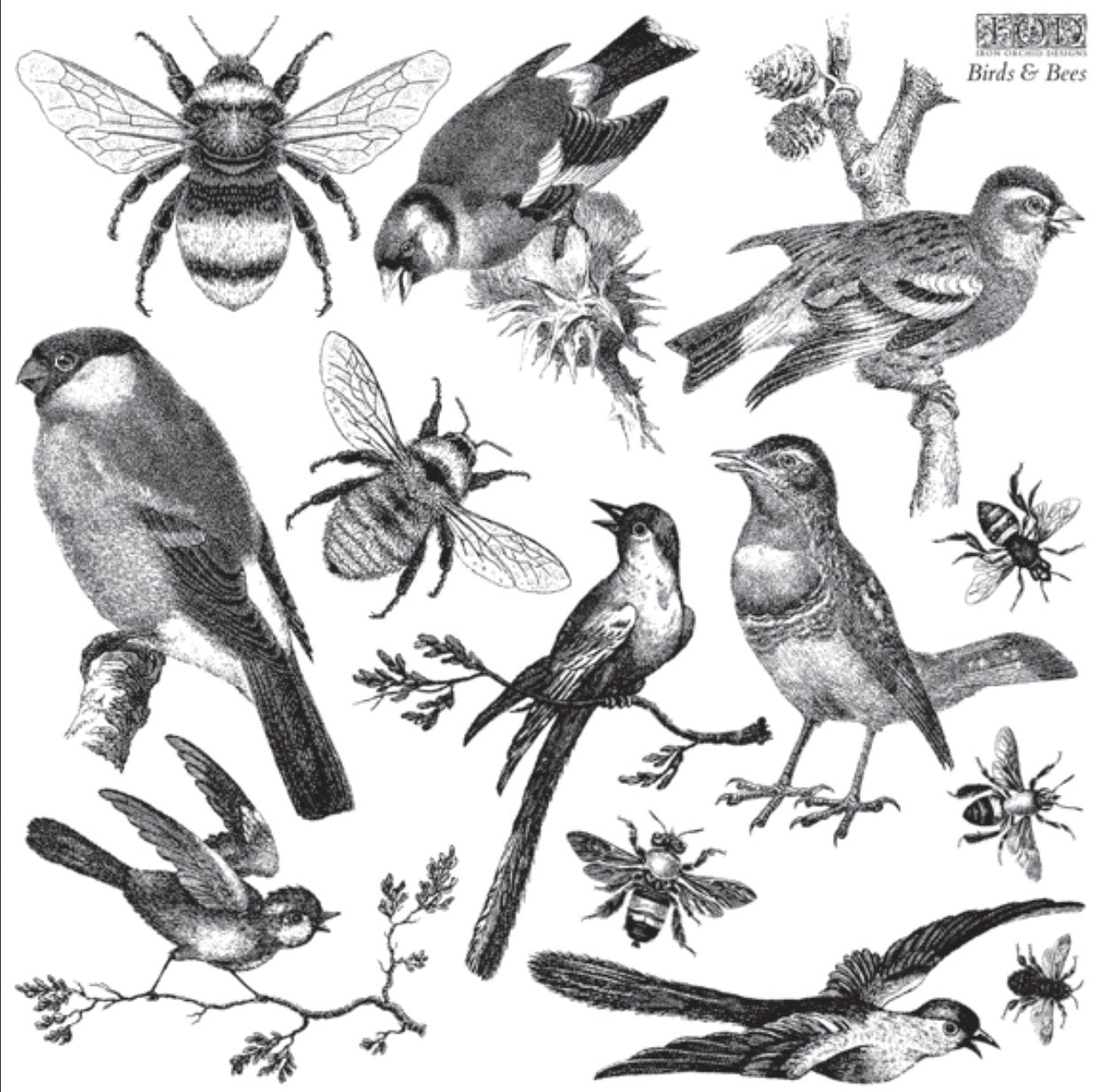 IOD Birds & Bees Decor Stamp - Iron Orchid Designs