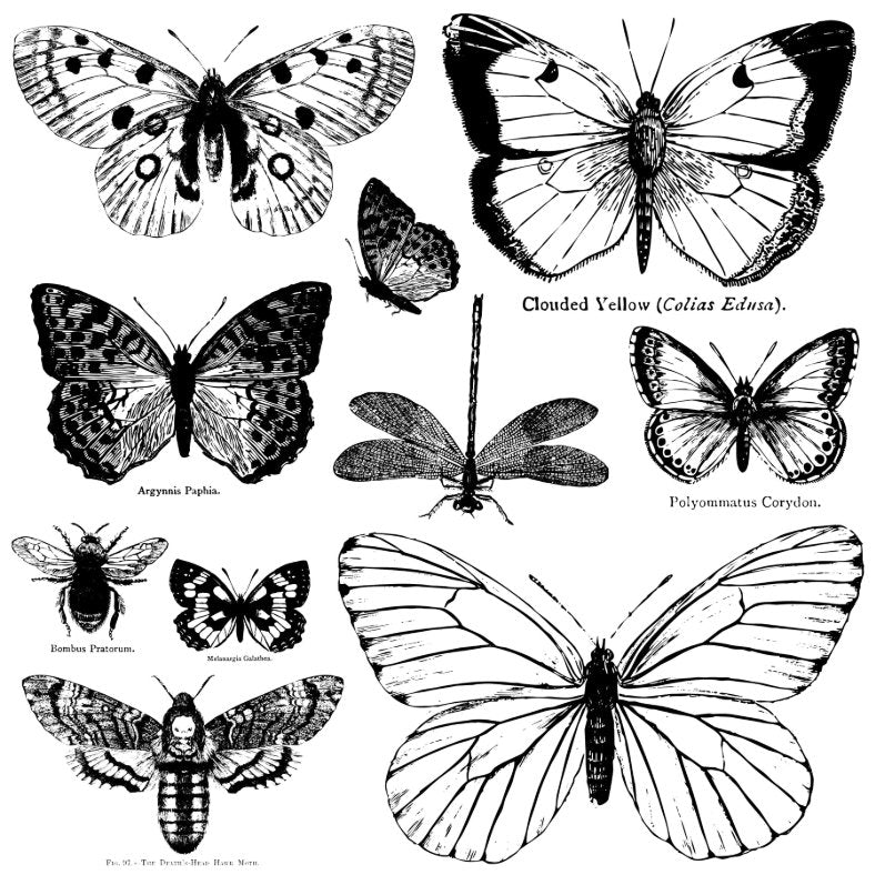 IOD Butterflies Decor Stamp - Iron Orchid Designs