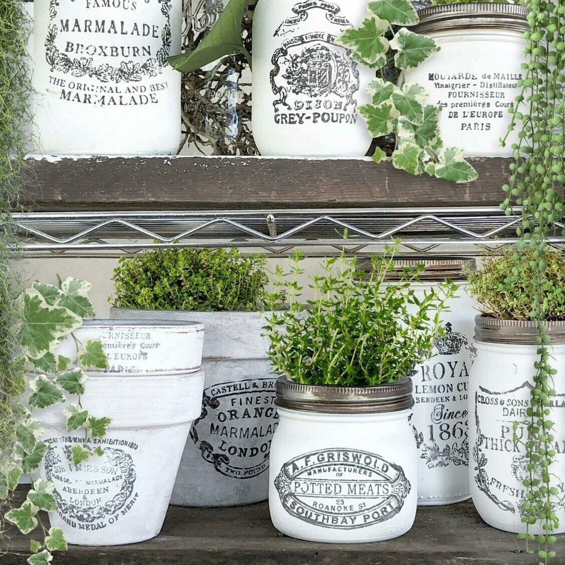 IOD Crockery Decor Stamp - Iron Orchid Designs