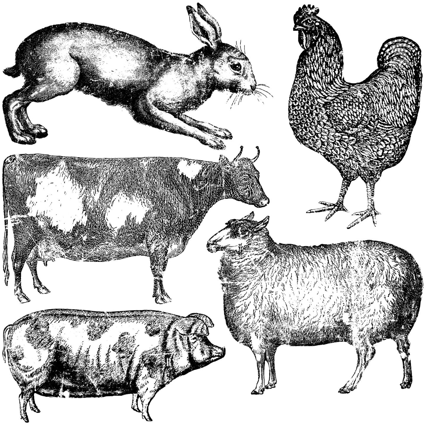 IOD Farm Animals Decor Stamp - Iron Orchid Designs
