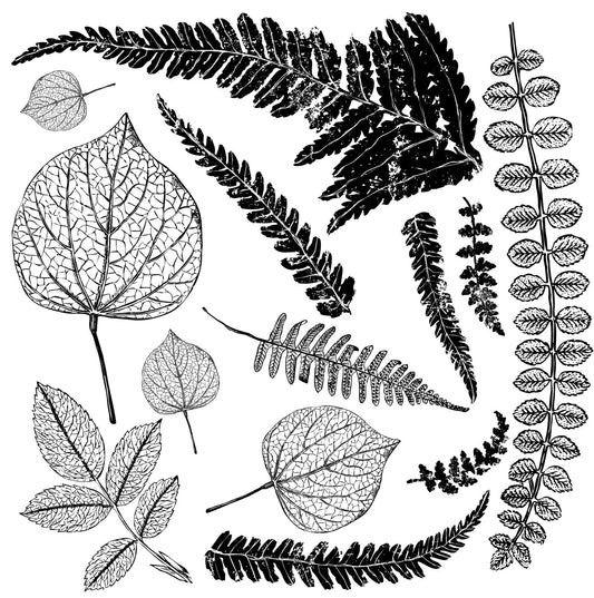 IOD Fronds Decor Stamp - Iron Orchid Designs