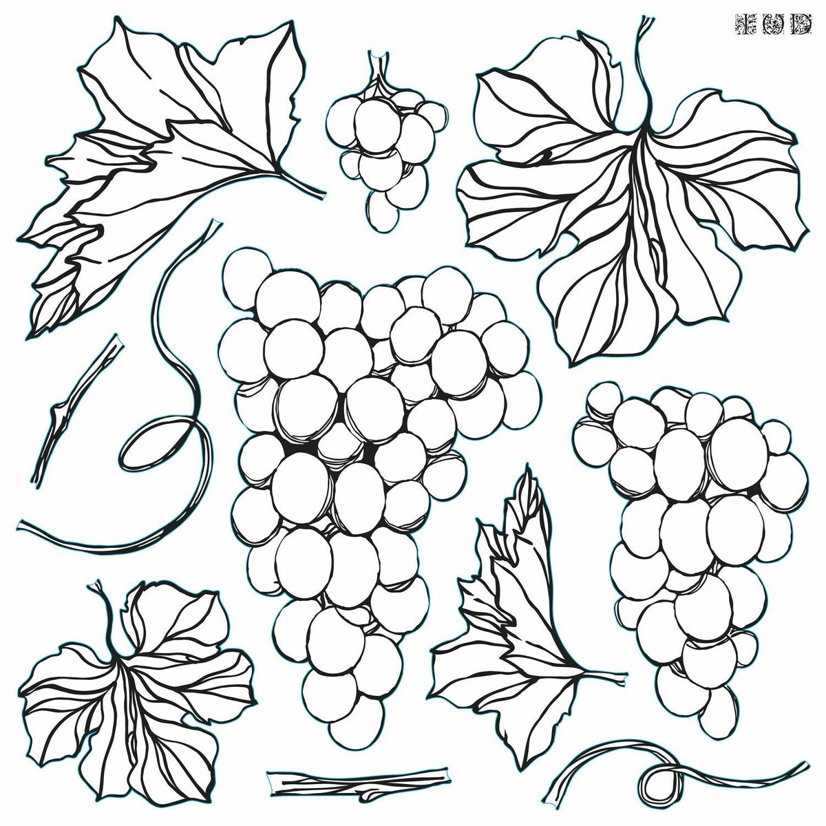IOD Grapes Decor Stamp by Iron Orchid Designs - 12"x12" Silicone