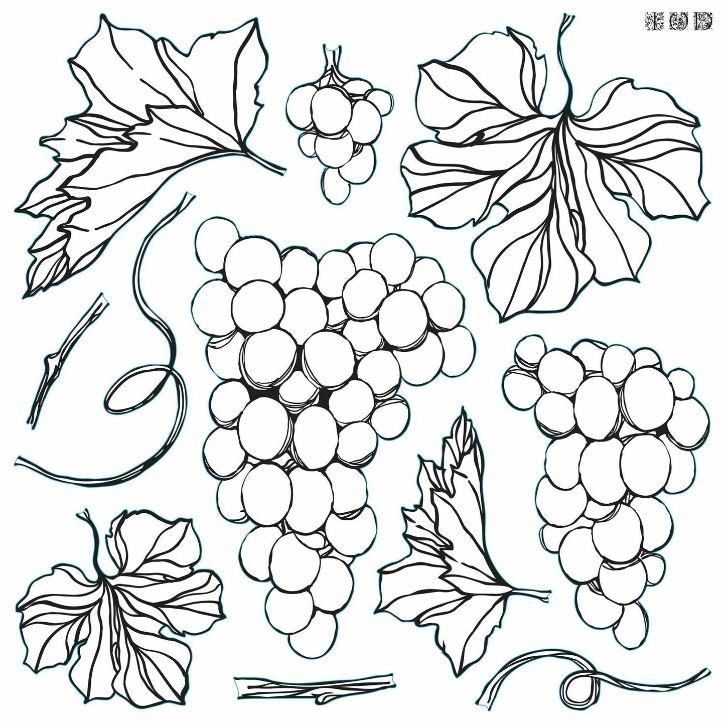 IOD Grapes Decor Stamp - Iron Orchid Designs