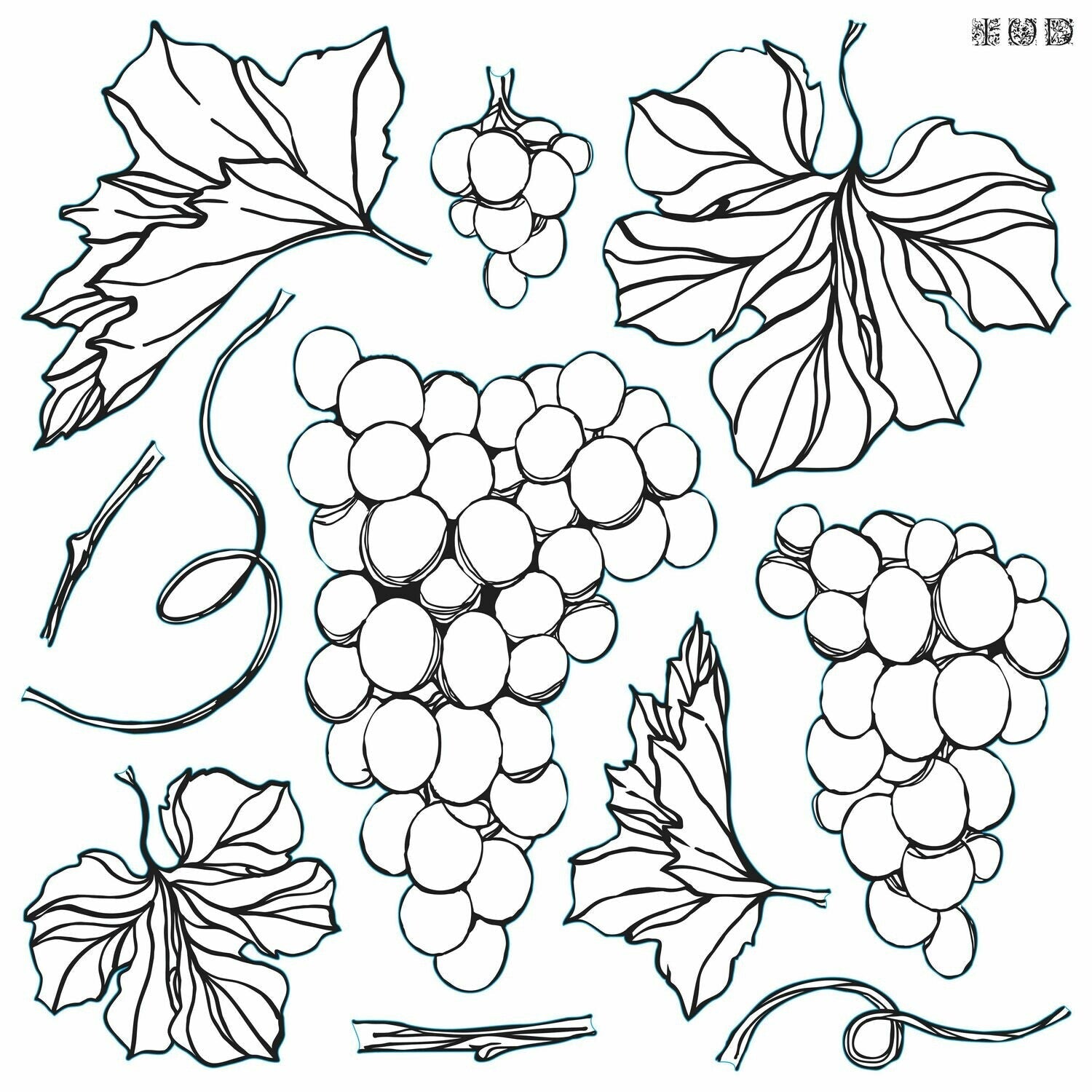 IOD Grapes Decor Stamp - Iron Orchid Designs