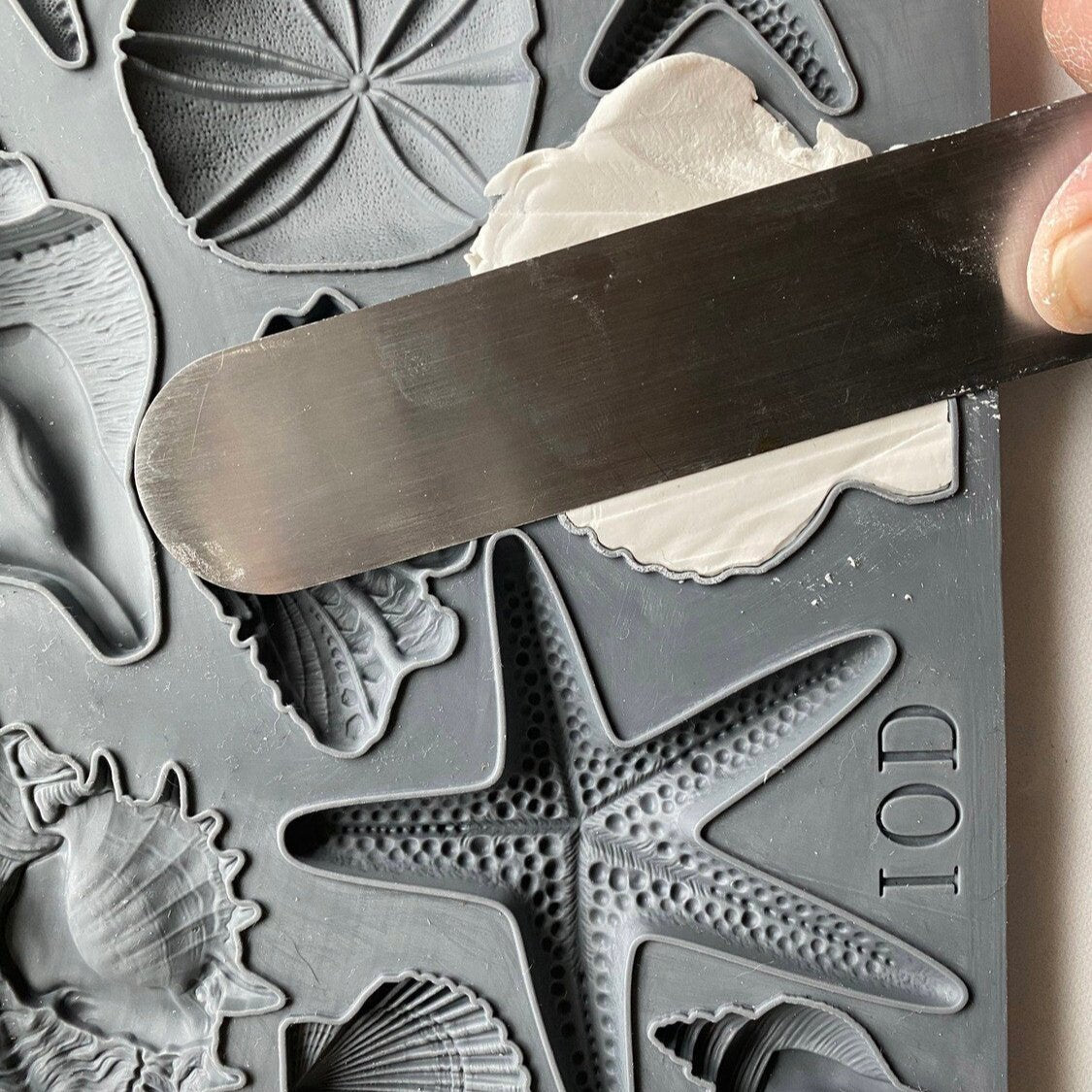 IOD Sea Shells Decor Mould by Iron Orchid Designs - 6x10 Silicone